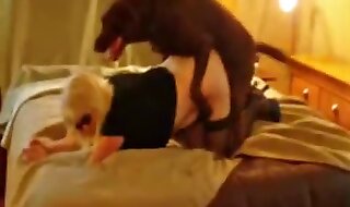 beastiality porn