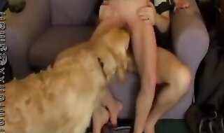 dog porn