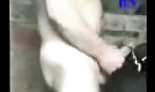 beastiality porn