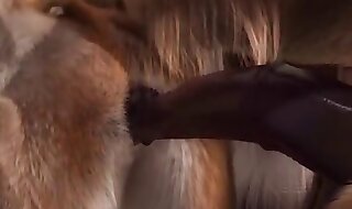 free animal porn
