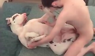 animal sex