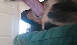 hottest sex scene