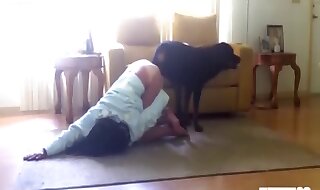 free animal porn
