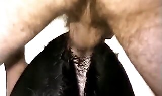 zoophilia sex