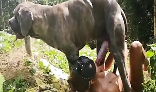 animal sex