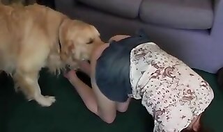 animal sex