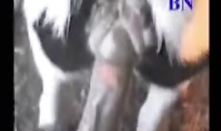 human