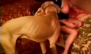 zoo porn xxx