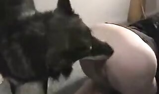 zoophilia sex