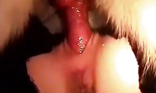 amazing