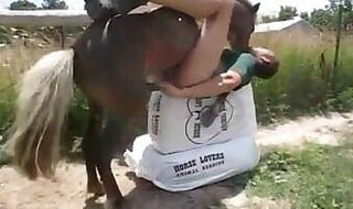 Animal Sex Porn Tube